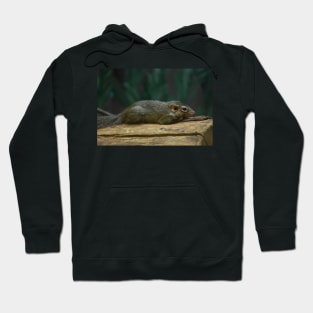 Shrew Hoodie